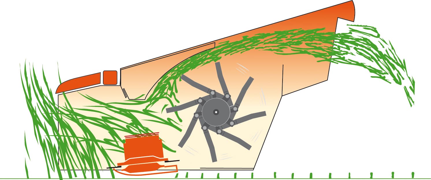 SemiSwing Tine Conditioning
