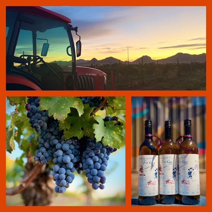 Callaghan-Vineyard.jpg