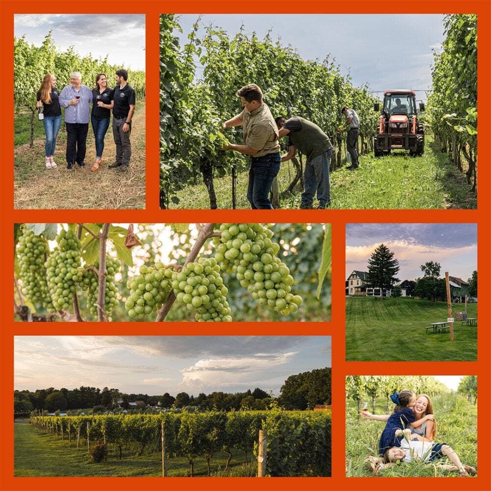 Penns-Woods-Winery.jpg