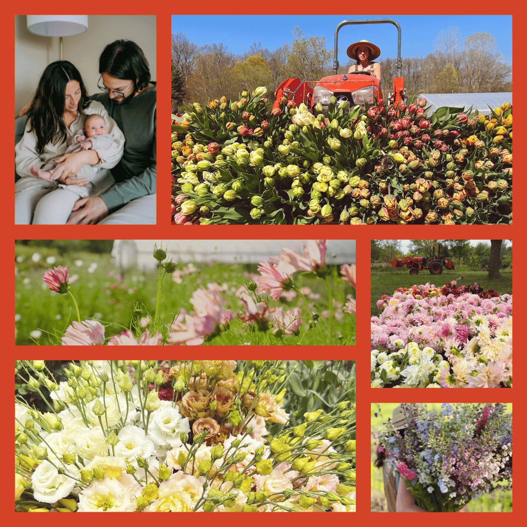 Willa-Rose-Floral.png