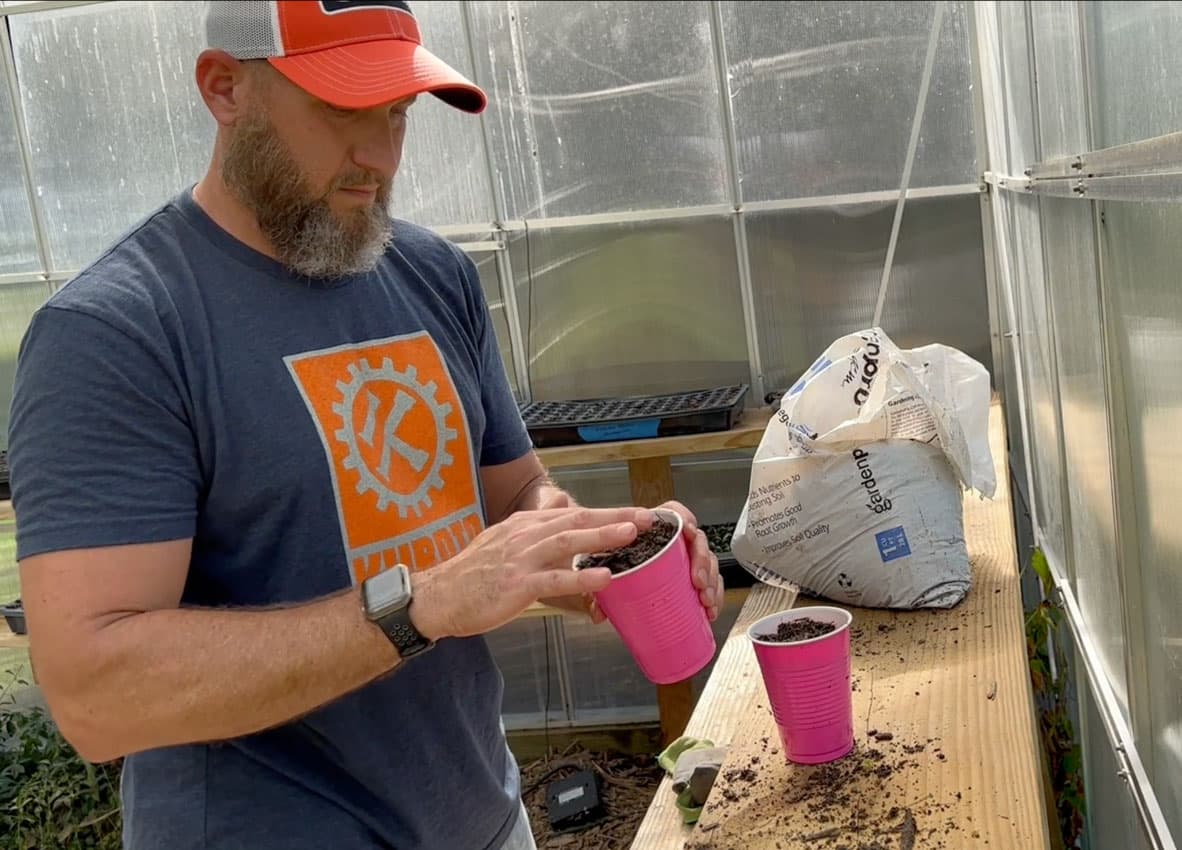 Plant Seeds