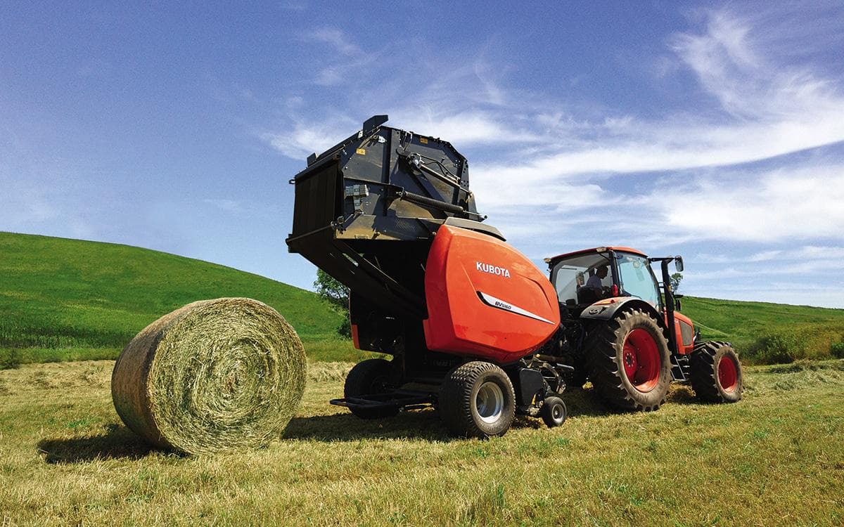 Seven Tips for Optimal Forage Quality