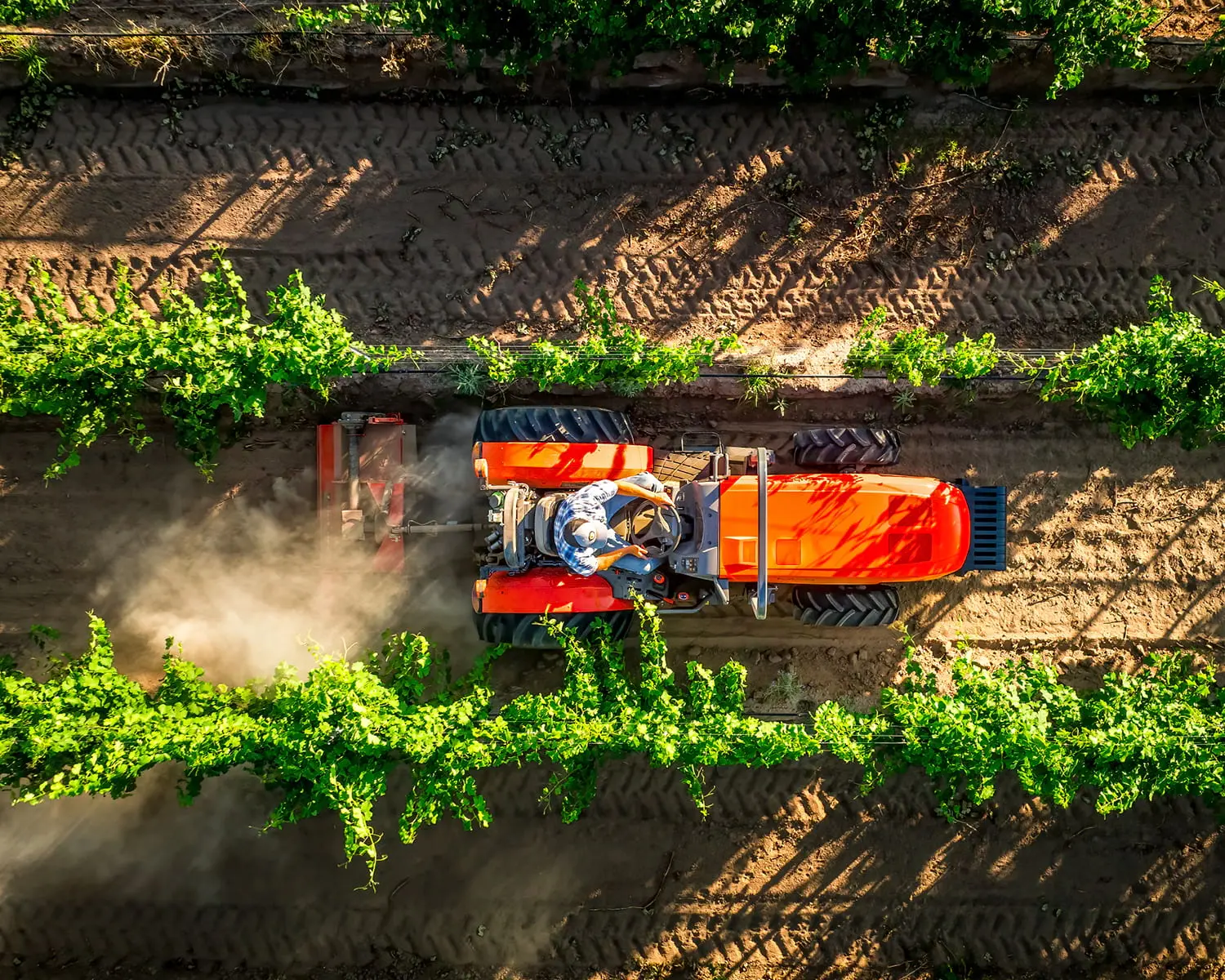 M Narrow Series Tractors