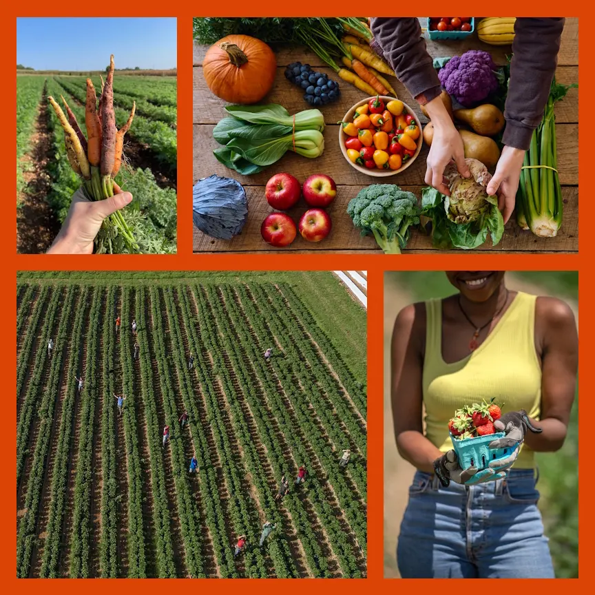 Moon-Valley-Farm-Gallery.jpg