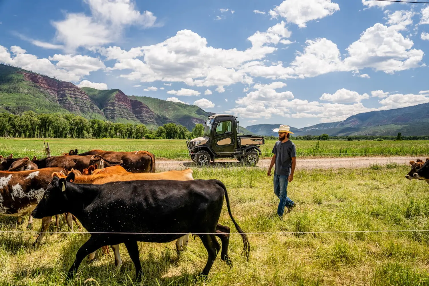 RTV-X_cab_sand_2024_Colorado_047_Retouched@2x.jpg
