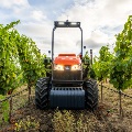 2025 Napa Kubota-49_resize