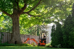 U10-5 Excavator_Landscape at Fenceline