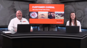 Screenshot 2021-02-15 120812