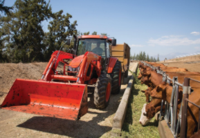 Screenshot 2021-02-15 120828