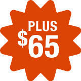 $65/month