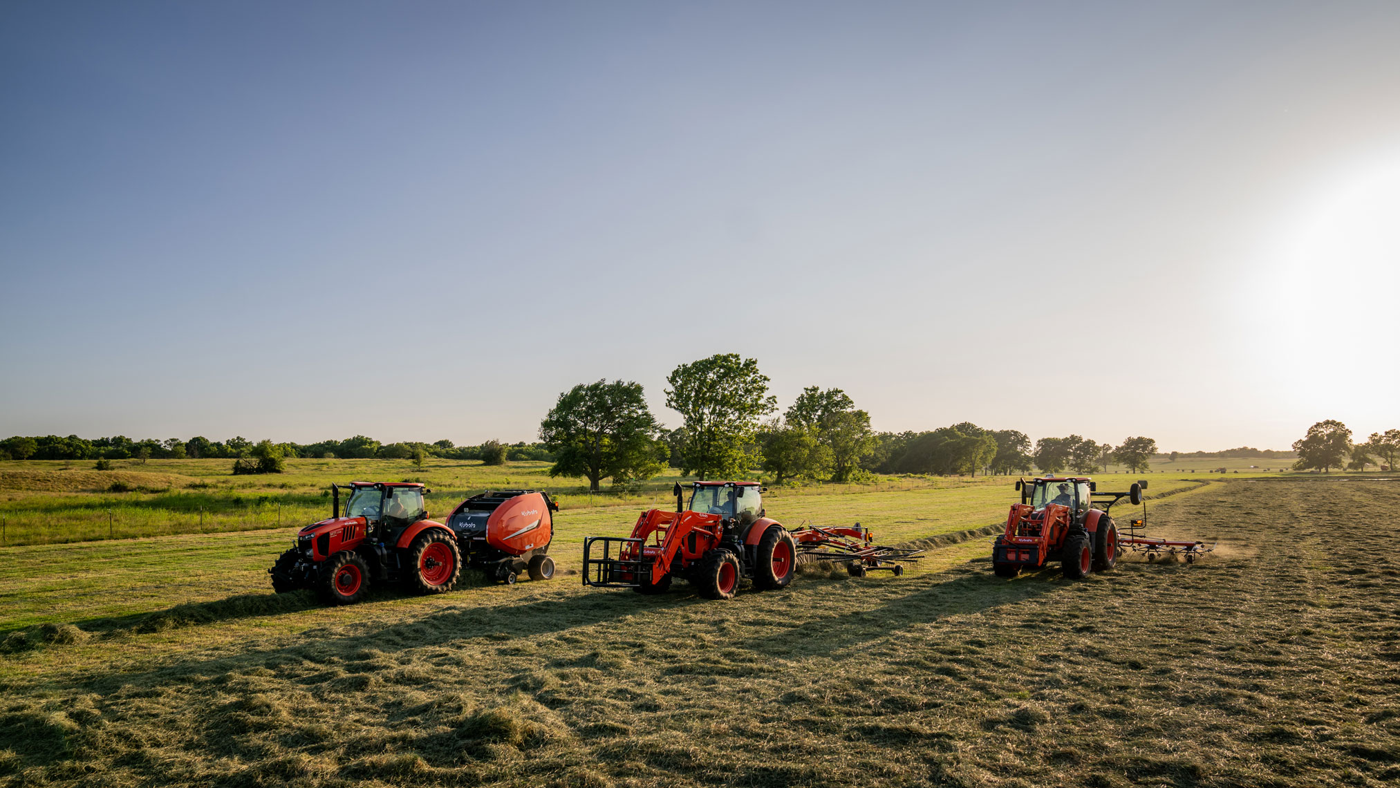 Let’s Make Hay!